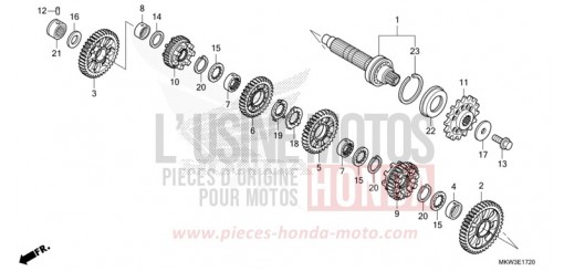 TRASMISSIONE (ALBERO SECONDARIO) (NC750XD) NC750XDM di 2021
